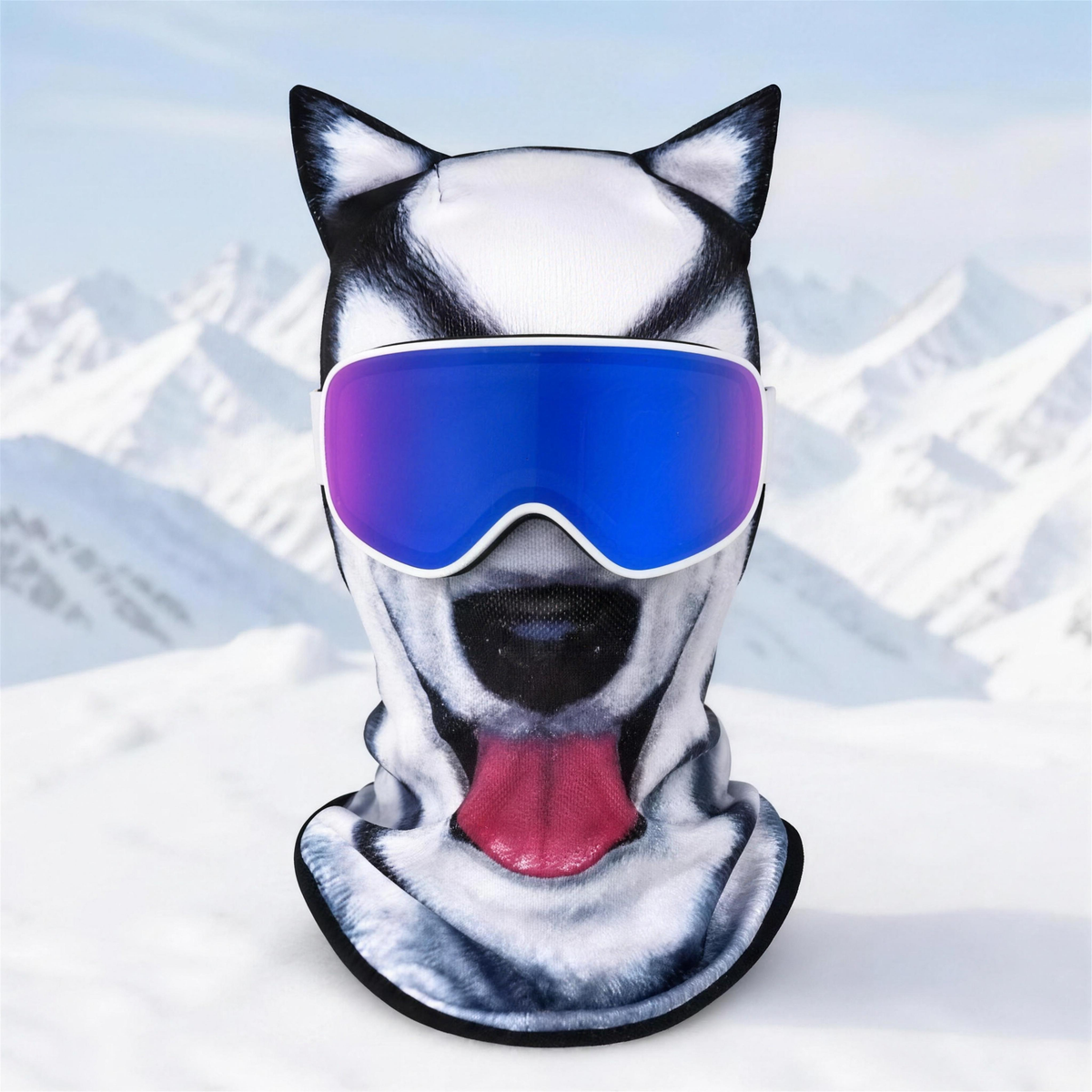 Ski Mask