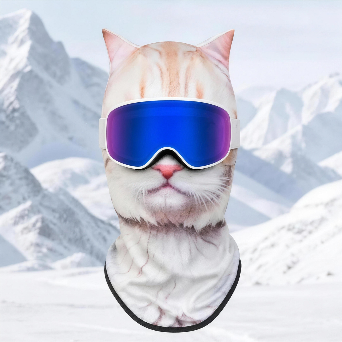 Ski Mask