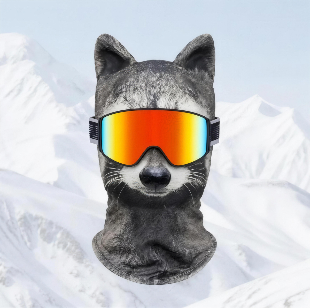 Ski Mask