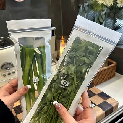 Premium Transparent Storage Bag