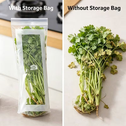 Premium Transparent Storage Bag