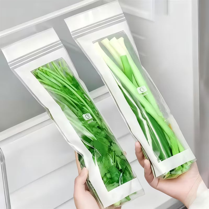 Premium Transparent Storage Bag