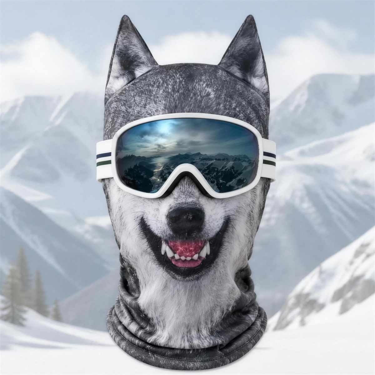 Ski Mask