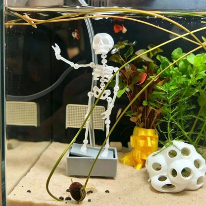 skeleton under water dancer skeleton